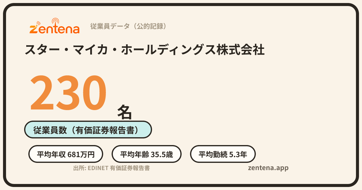 スター・マイカ・ホールディングス株式会社の従業員データカード