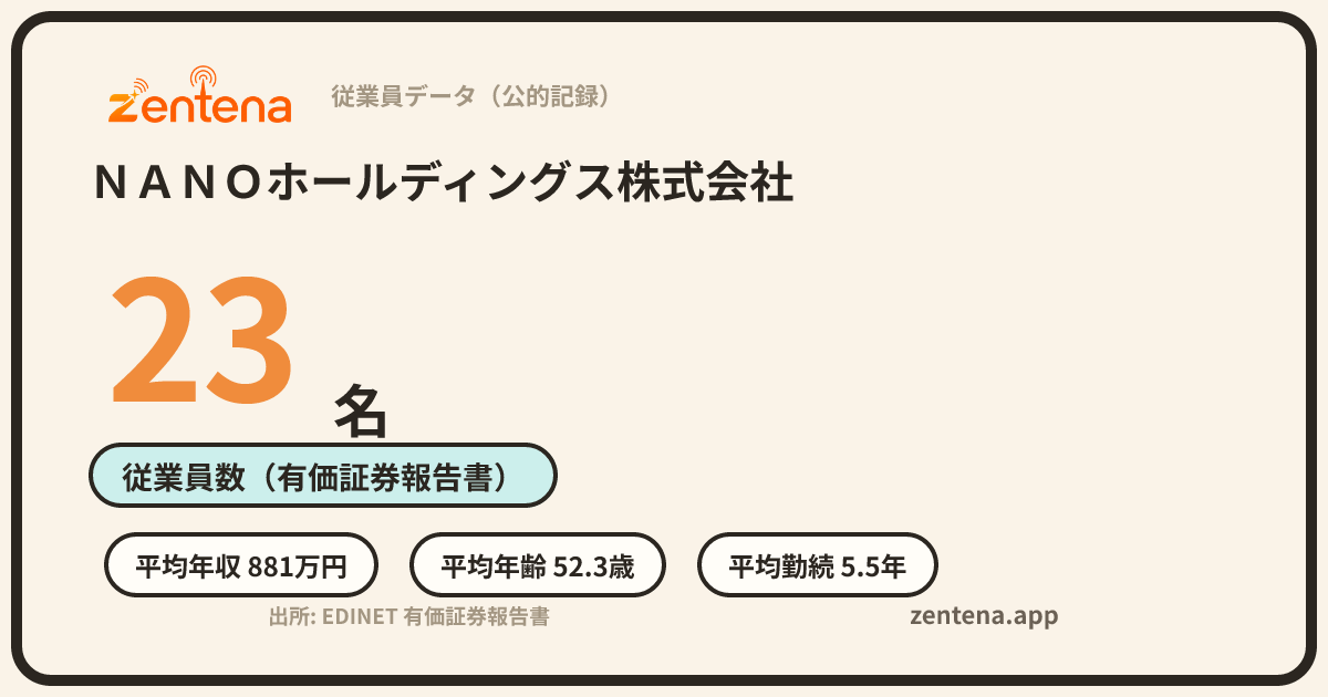 ＮＡＮＯホールディングス株式会社の従業員データカード